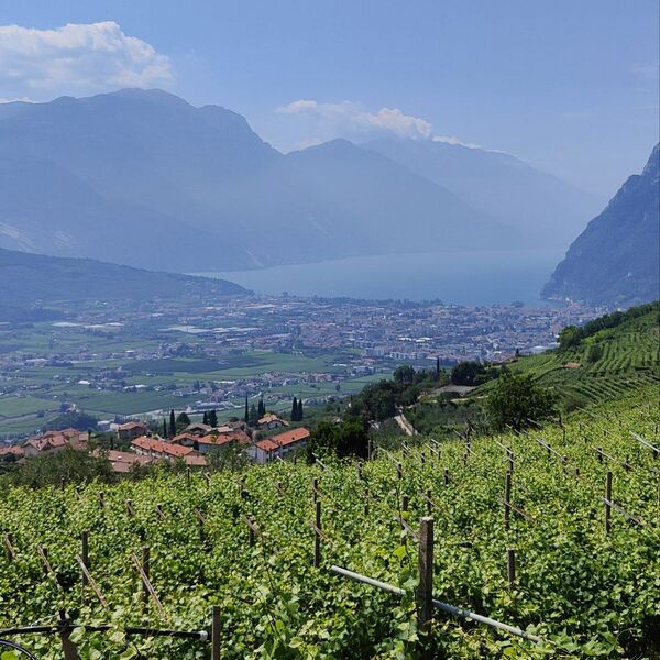 Panoramatour durch das Gebiet