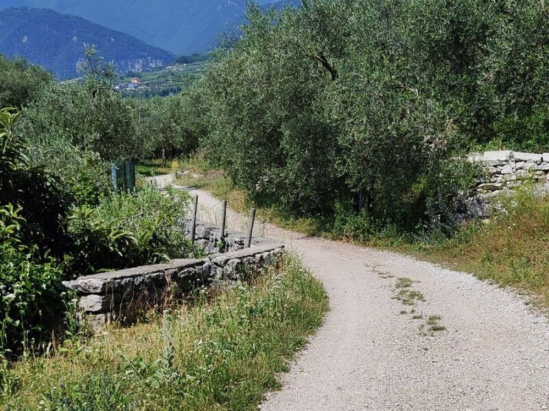 Panoramatour durch das Gebiet