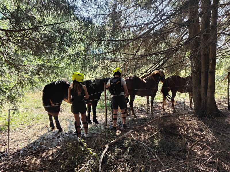 PANORAMATOUR IN GROßER HÖHE